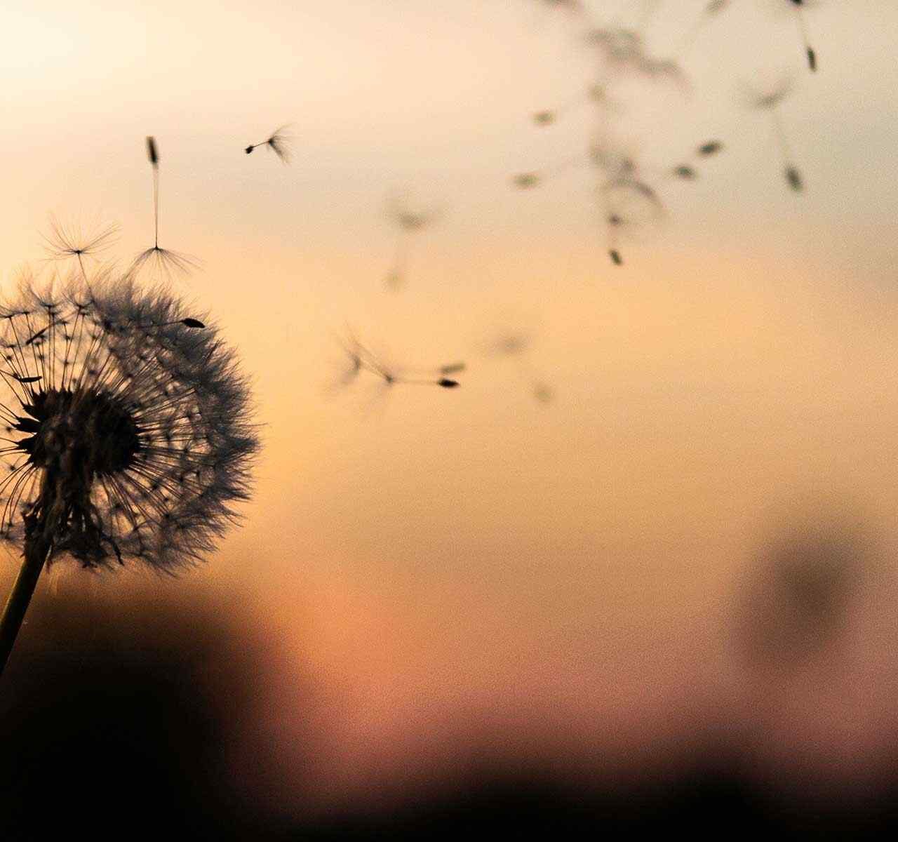 https://template.idfinance.ch/wp-content/uploads/2018/09/post_02-1280x1200.jpg