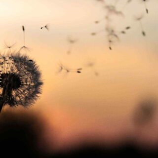 https://template.idfinance.ch/wp-content/uploads/2018/09/post_02-320x320.jpg