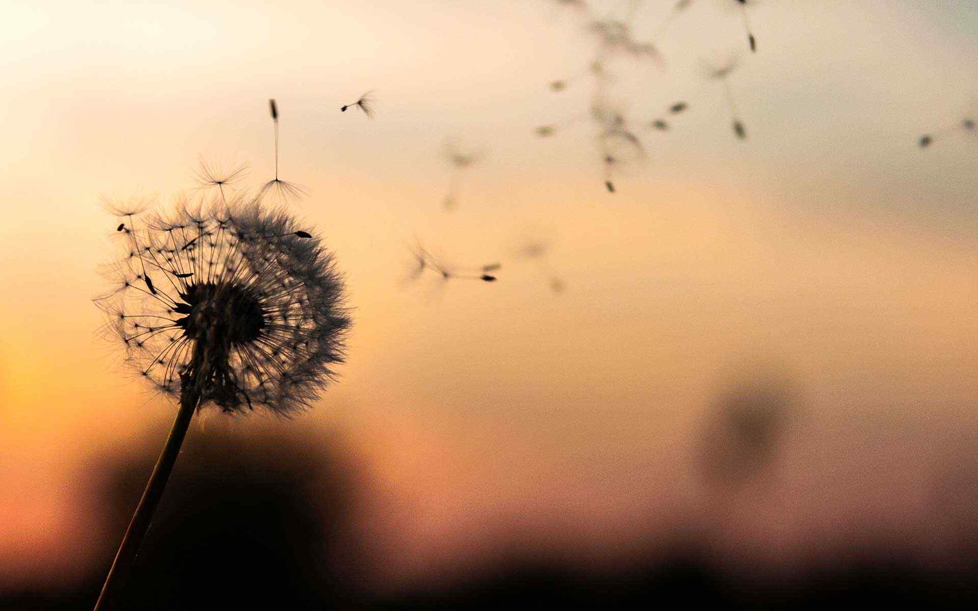 https://template.idfinance.ch/wp-content/uploads/2018/09/post_02.jpg